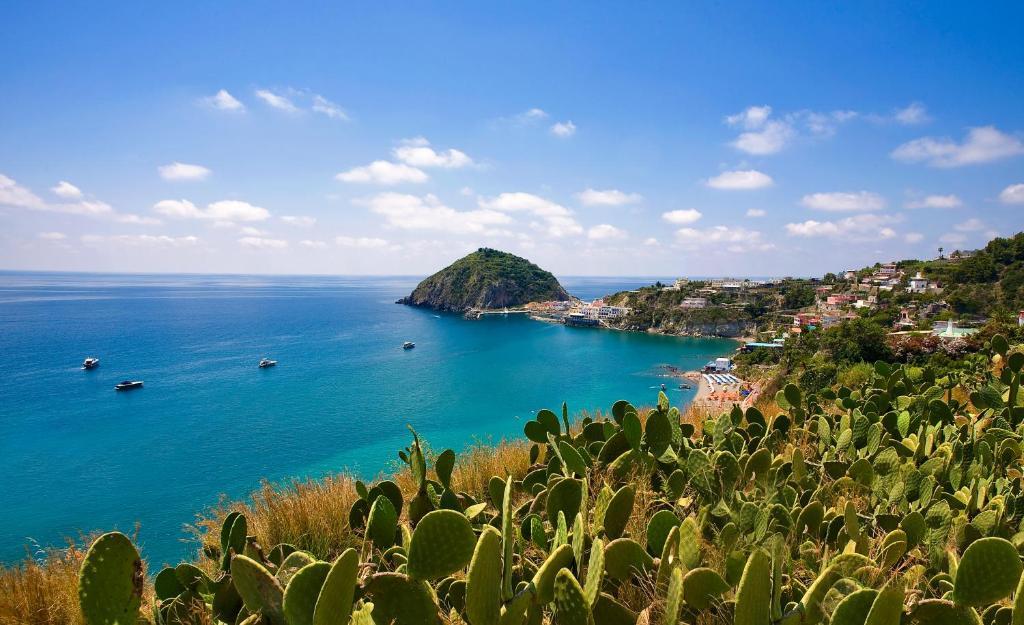 Hotel Vittorio Beach Resort Barano dʼIschia المظهر الخارجي الصورة